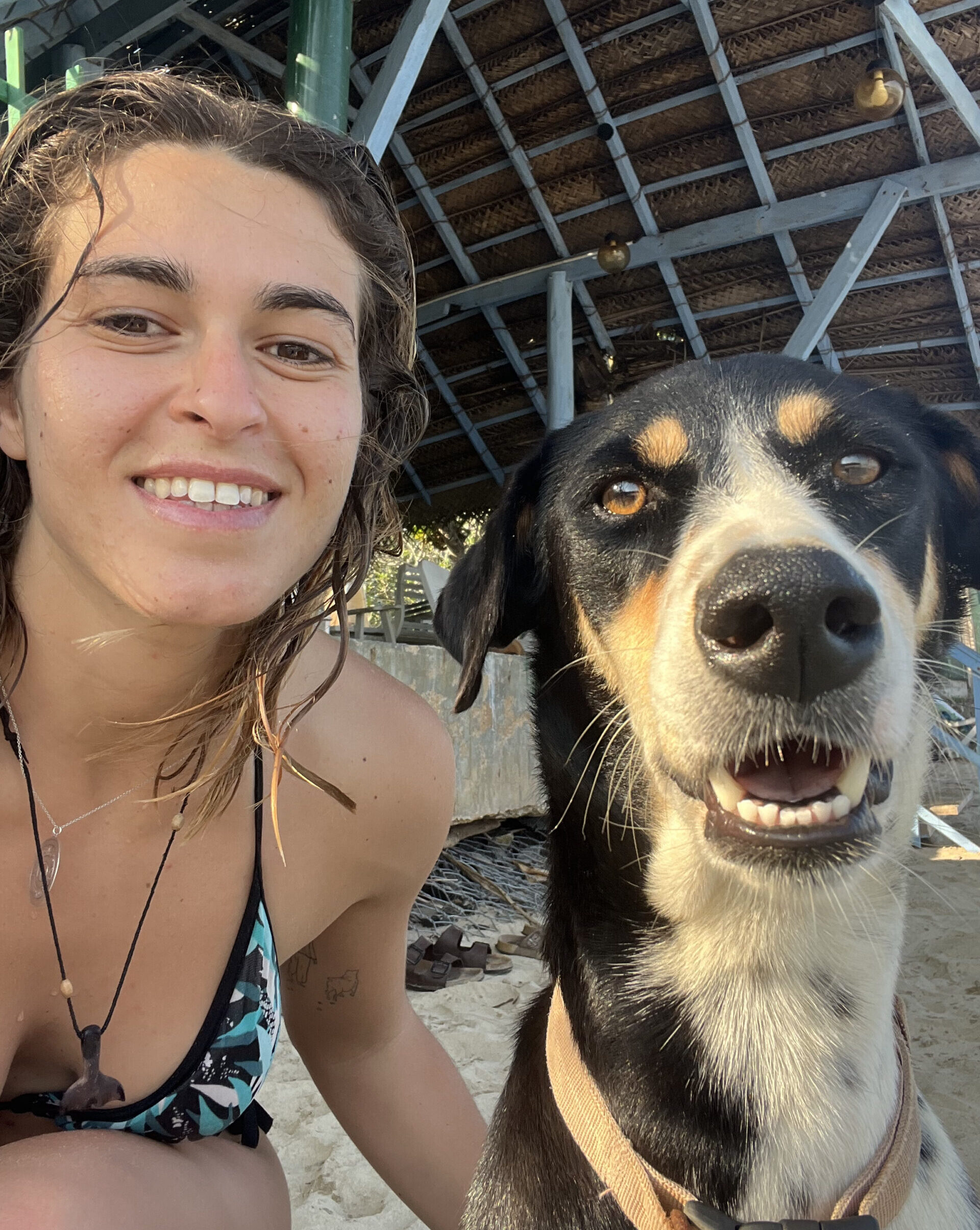 Criado por uma profissional